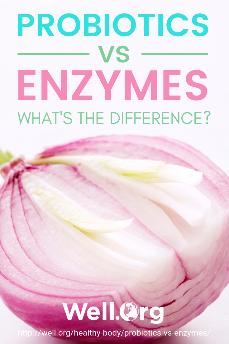 Digestive enzymes vs. probiotics graphic, red onion 