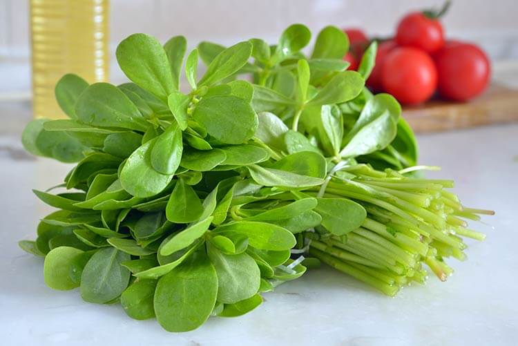 purslane bunch on white surface