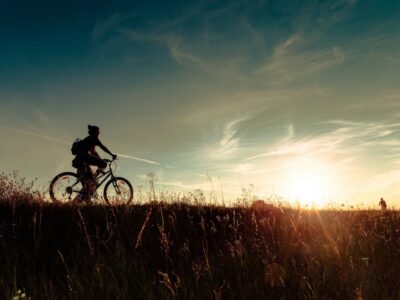 photo of person riding a bike through a field at sunset