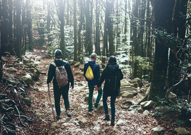 photo of three people hiking in the forest