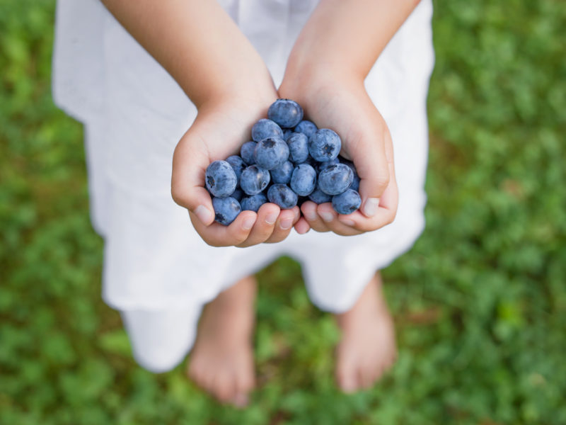 girl holding blueberries, a genius food, in the shape of a heart