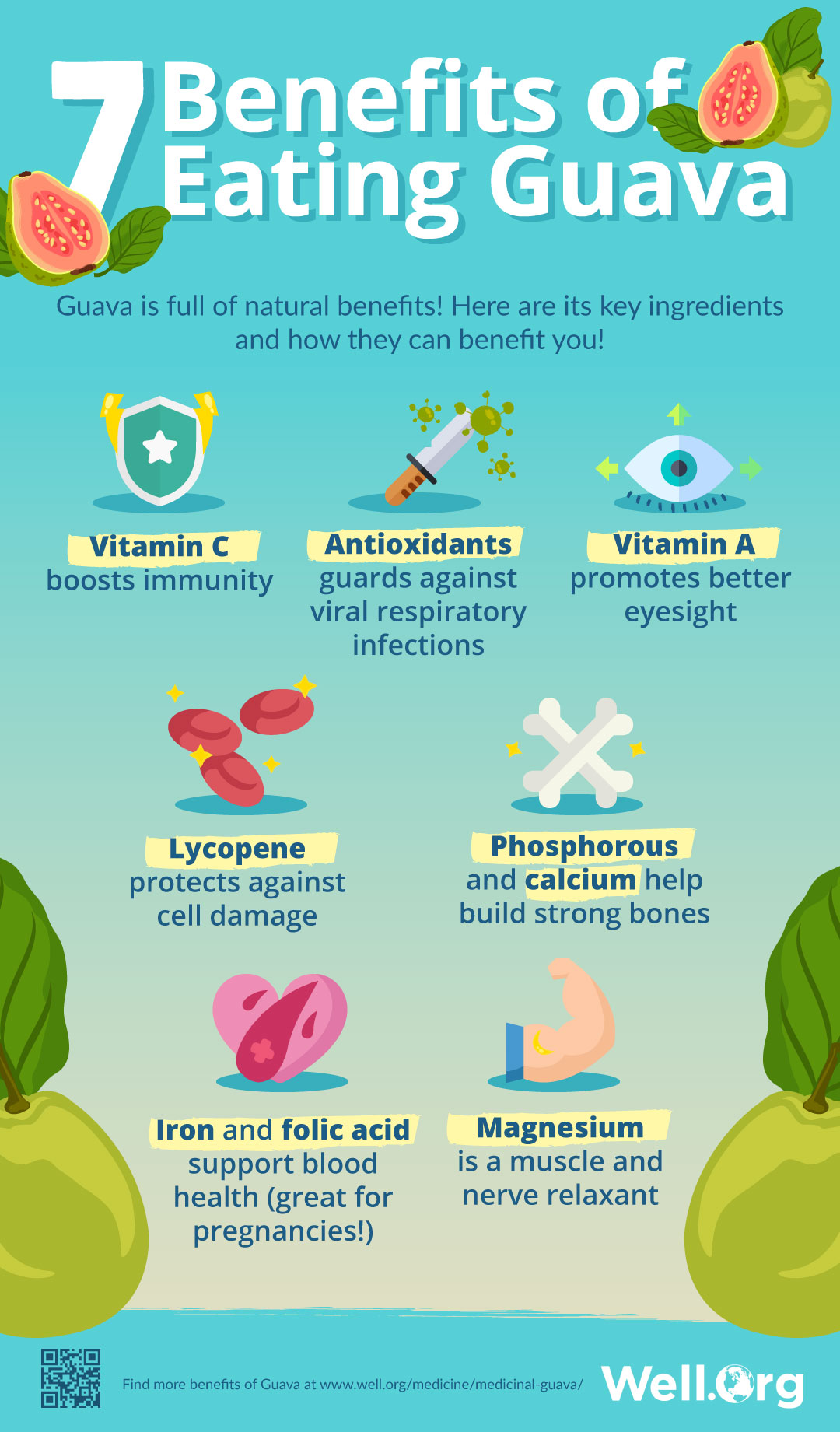 The Medicinal Properties Of Guava And Its Leaves [INFOGRAPHIC]