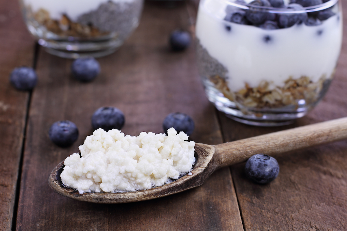 Everything You Need to Know About Kefir Grains | Well.Org
