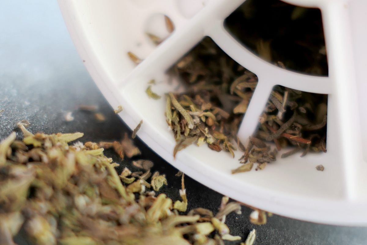thyme, one of the best herbs for memory and concentration