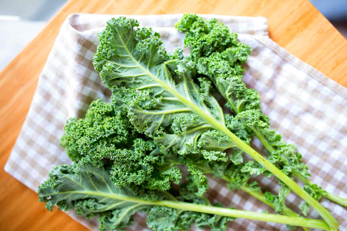 Kale leaves leafy greens | Foods To Boost Your Brain Power