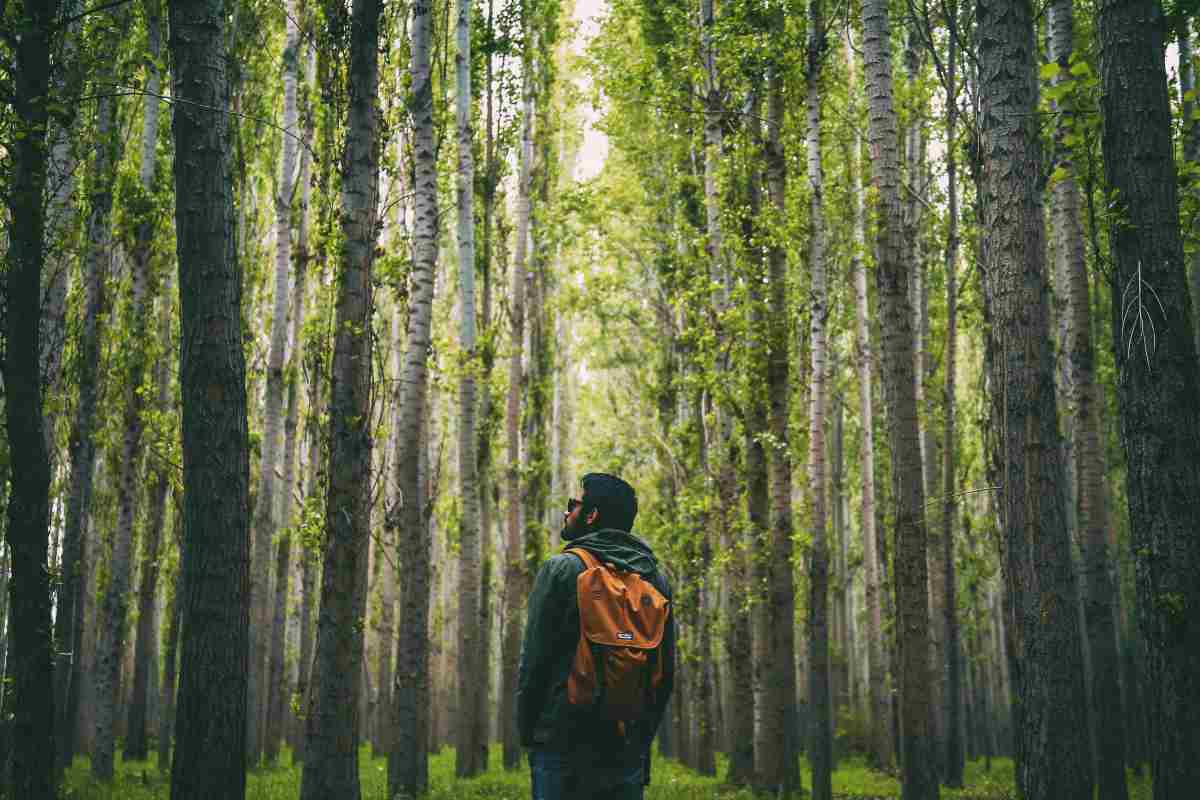 man forest alone | Ways To Go Outside And Relax In Nature This Summer | outdoors
