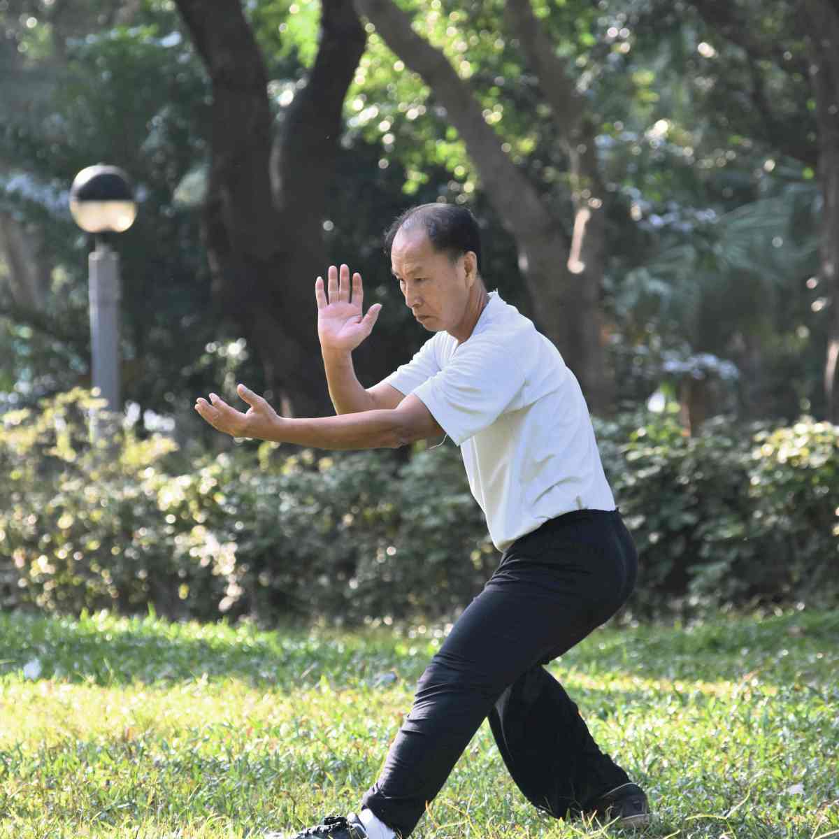 old asian man performing tai chi outdoor by the park | types of martial arts | types of martial arts self defense | all types of martial arts