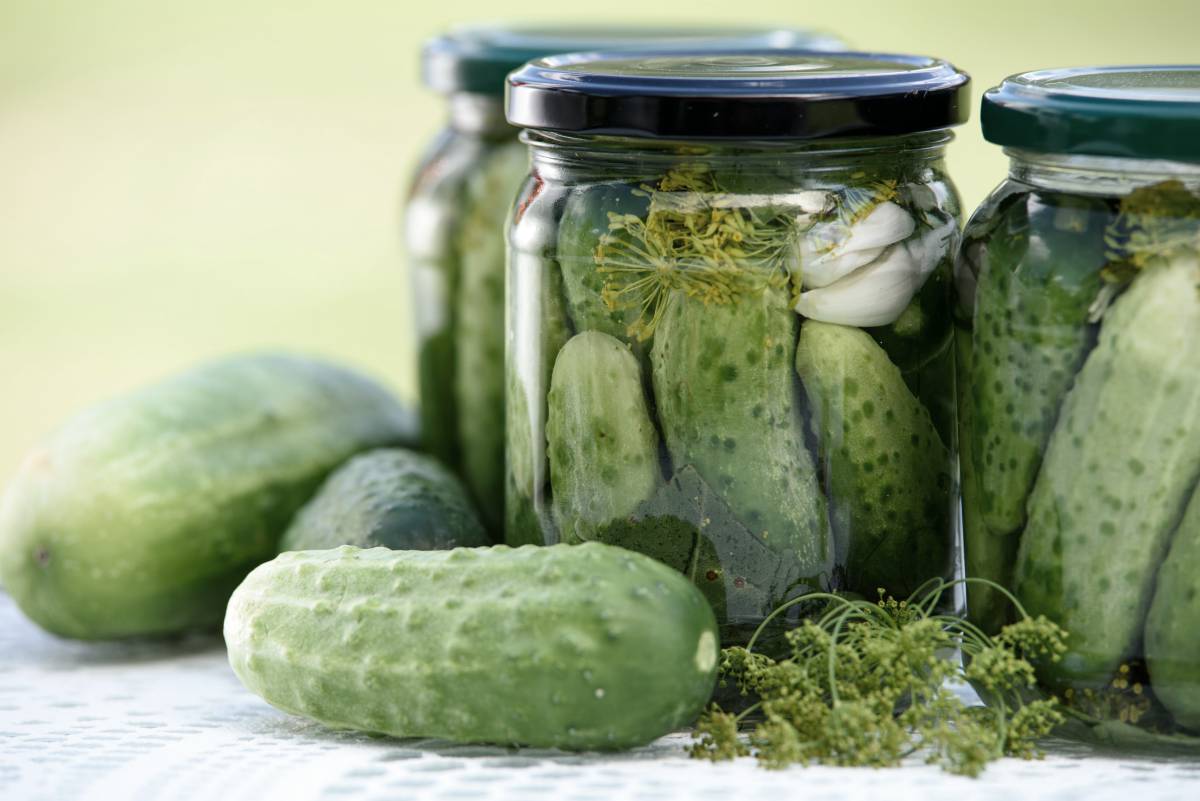 jars of pickled cucumbers and fresh cucumbers preserved | vegan probiotics | best vegan probiotics | does vegan yogurt have probiotics