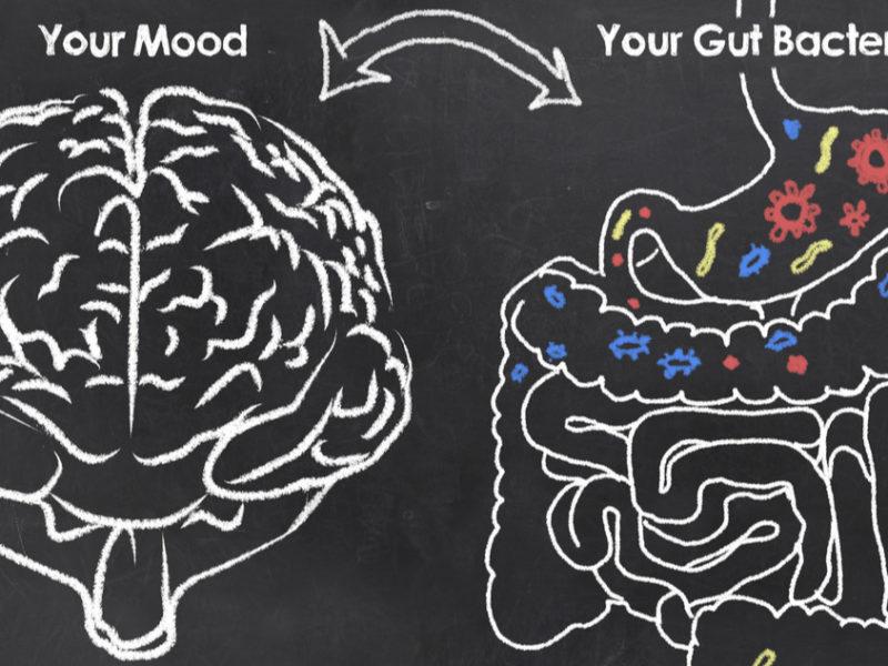 chalkboard drawing of brain and gut