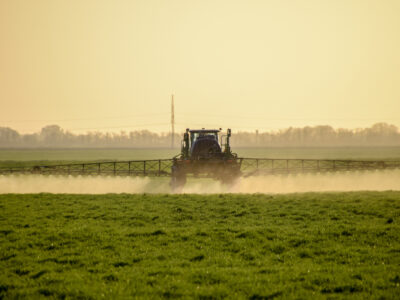 tractor spraying glyphosate on wheat field