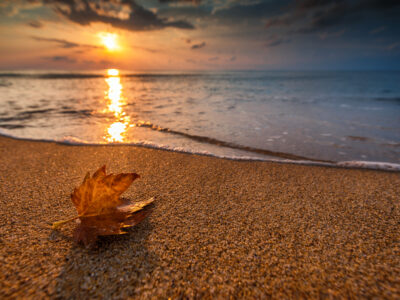 Beautiful cloudscape over the sea with single fall leaf in foreground, sunrise shot